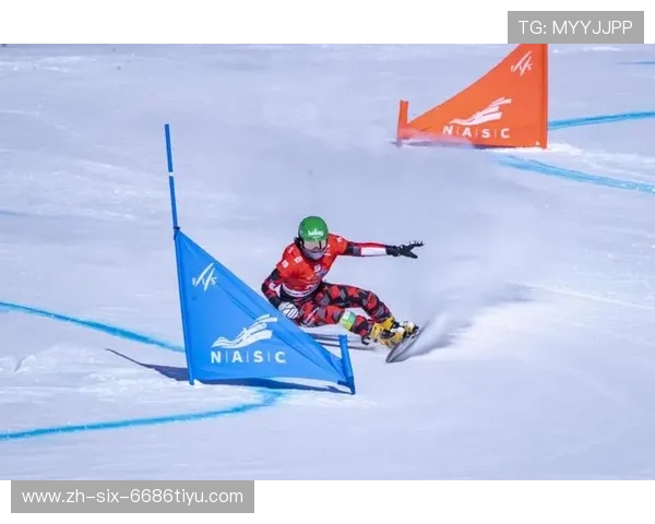 2019单板滑雪世界杯（2019滑雪世界杯锦标赛）sports